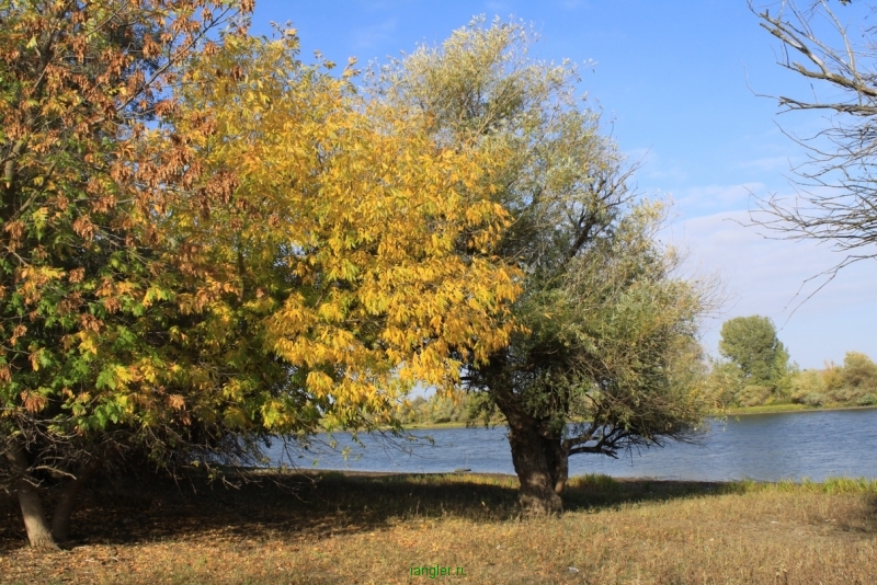 Осенний берег реки Бертюль