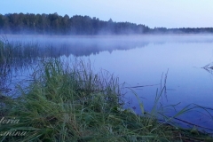 Туман на озере