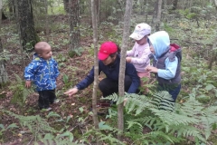 дети изучают лес
