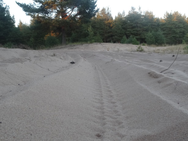 Песчаная дорога