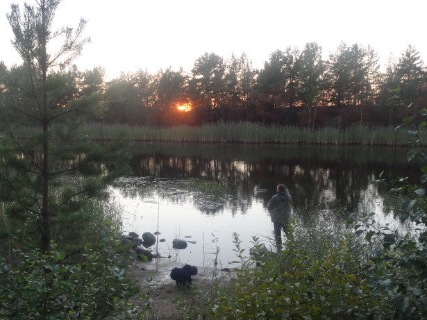 закат на Новоладожском канале в Леднёво