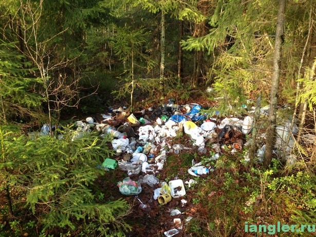 свалка мусора в лесу