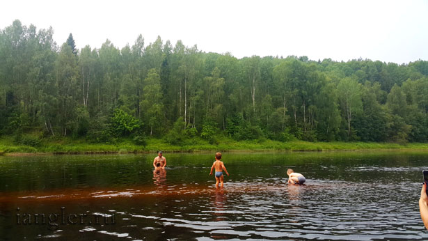 дети купаются в реке